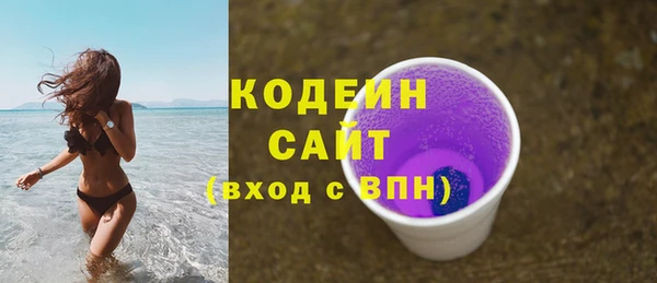 крисы Абаза