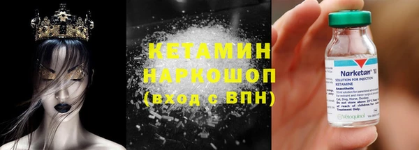крисы Абаза