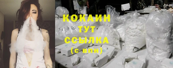 крисы Абаза