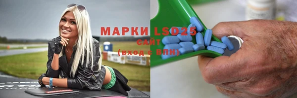 крисы Абаза