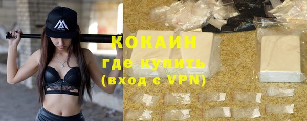 крисы Абаза