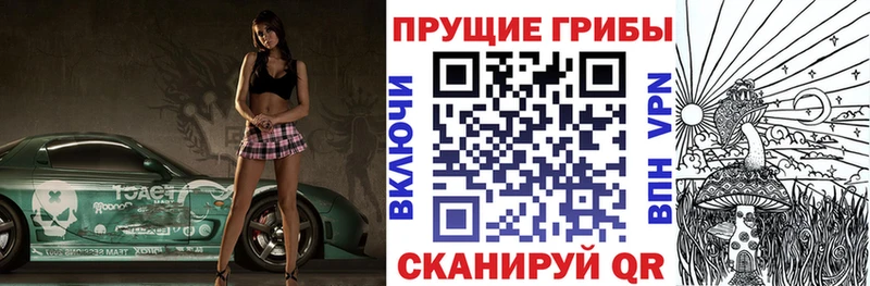 где купить наркотик Агидель Галлюциногенные грибы Magic Shrooms